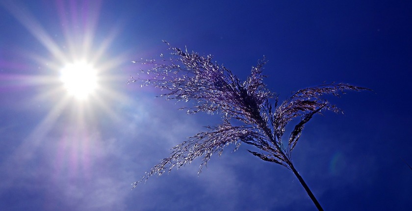 world-record-temperature