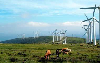 energy community ppa contracts consultant tender