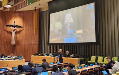 serbia UN International Decade of Sciences for Sustainable Development jelena begovic