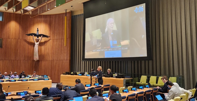 serbia UN International Decade of Sciences for Sustainable Development jelena begovic