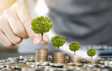 EU adopts joint green bond standard