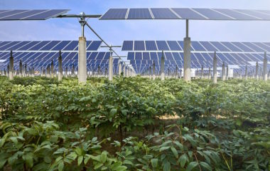 EU-meet-2030-solar-power-target-agrivoltaics-alone