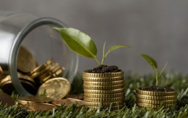 green-bonds-bih-issue