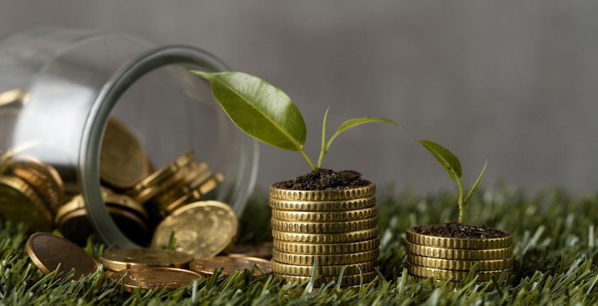 green-bonds-bih-issue