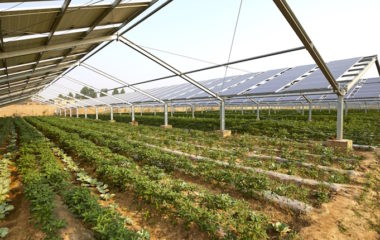 The European Commission approves €1.7 billion Italian State aid scheme to support agrivoltaic installations