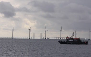 Bulgarian fishers oppose draft offshore wind power law