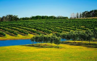 north macedonia floating solar spain grant globatek