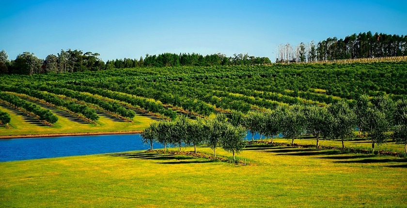 north macedonia floating solar spain grant globatek