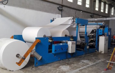 IFC loan Serbia largest biomass CHP decarbonize paper industry