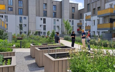 Supporting affordable and social housing in taking on the challenge of renovation