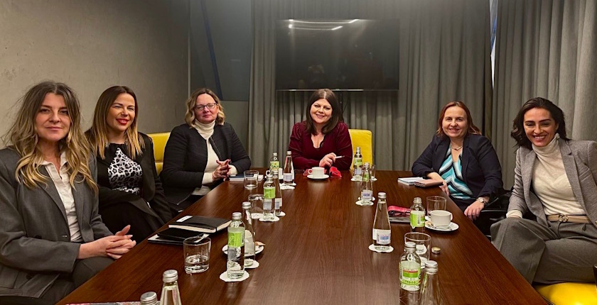 advisory board wise serbia network members first meeting