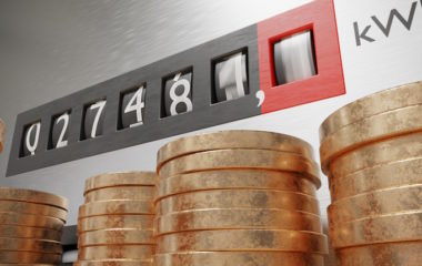 eps-electricity price dusan stanar