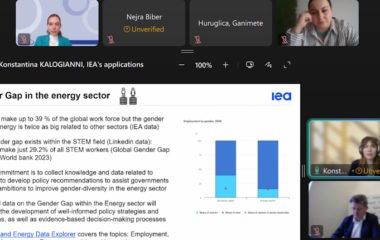 Energy Community gender Women Entrepreneurs Energy webinar