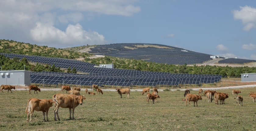ProCredit, solar power plant