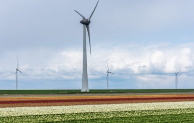 Wpd 528 MW wind farm north Romania