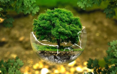 Earth Overshoot Day 2024