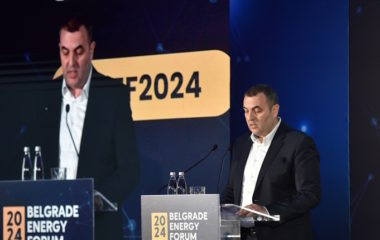 GGF Kostadinov Green investment inflection point many countries