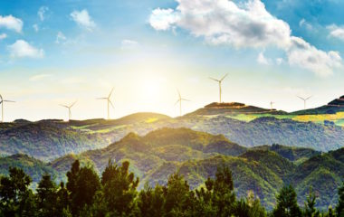 Guide for integrating biodiversity with green power plants and grid expansion