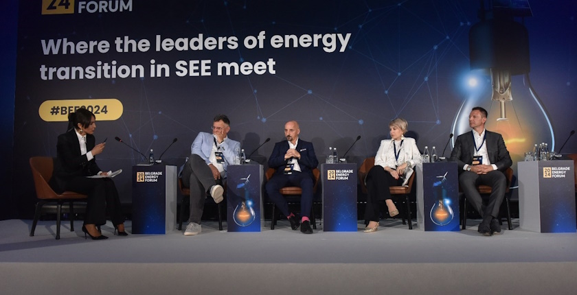 Panel discussion Decarbonizing industry and business in response to Green Agenda and carbon pricing at BEF 2024