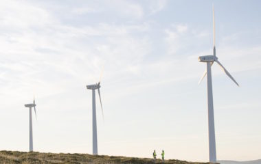 serbia-halts-wind-farm-project-bukovik