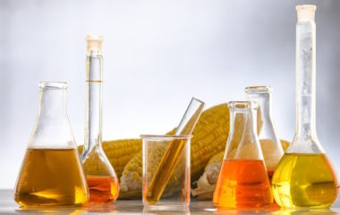 Shell halts construction biofuel refinery Rotterdam cut costs