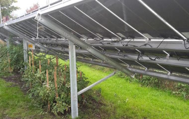 Slovenia publishes draft agrisolar rulebook for public debate