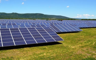 Trafigura Romanian renewables solar power Nala
