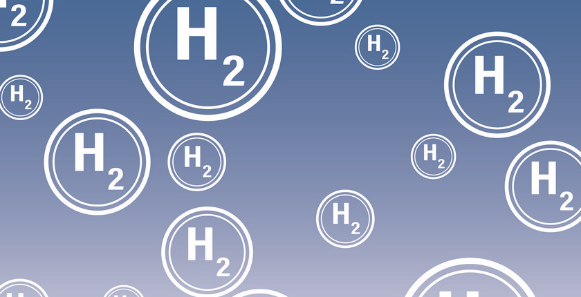 hydrogen germany subsidies