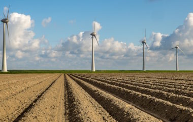 Northeast Bulgarian town General Toshevo resists giant wind power project wpd