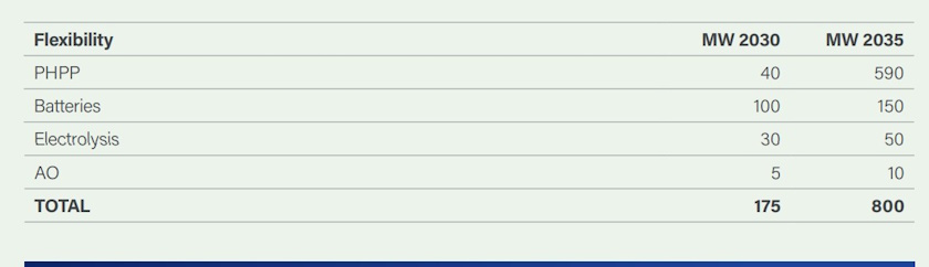 hse group flexibility batteries hydrogen plans results