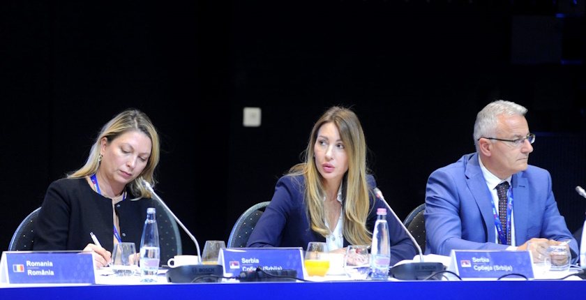 serbia winter electricity natural gas dubravka djedovic cesec budapest