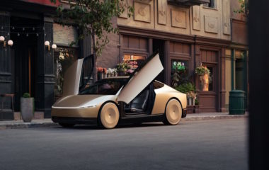 tesla robotaxi elon musk