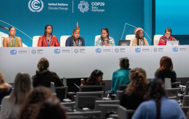 COP29 decisions ambitious but insufficient to curb global warming