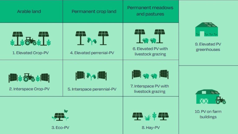 New Agrisolar Handbook reveals ten agrisolar archetypes