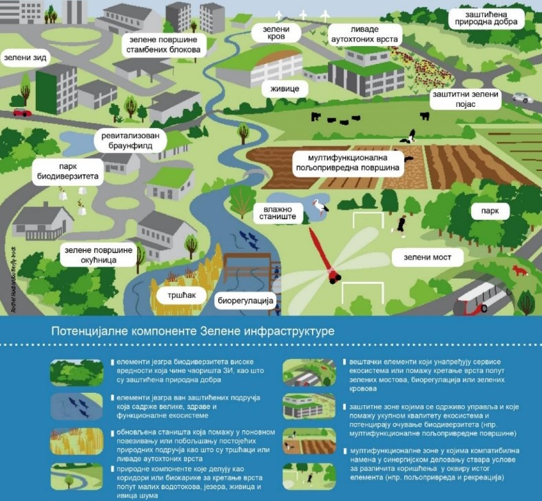 belgrade strategy green infrastructure forest