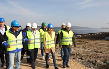 serbia solar djedovic zivkovic petka kostolac