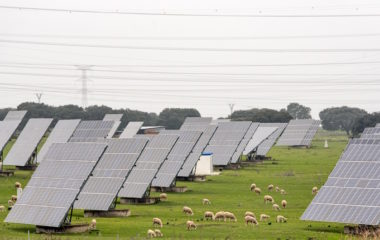 Albania allows agrisolar wind power plants on pastureland