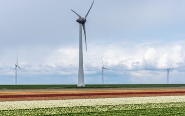 Bulgarian citizens demand referendum on wind farm construction on agricultural land