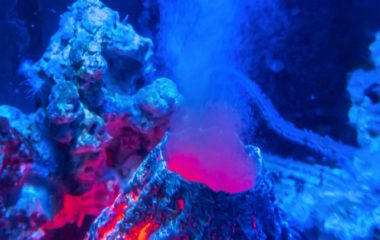 Norway shelves deep sea mining call amid international pressure