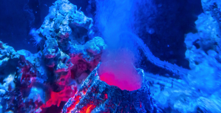 Norway shelves deep sea mining call amid international pressure