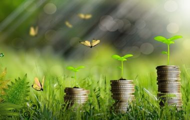 croatia green transition subsidies ministry fzoeu