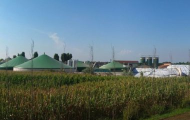 serbia eps biomass biogas biomethane coal power plants