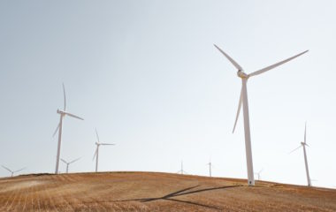 Forty firms competing five wind farm Turkish auction