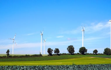 bih epbih vlasic kfw consultant