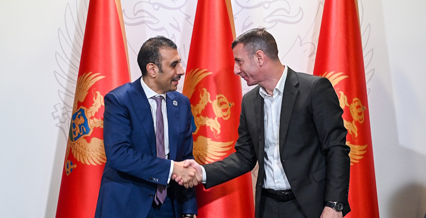 montenegro distribution grid digitalization cedis smart meters scada adms zakaria ivanovic