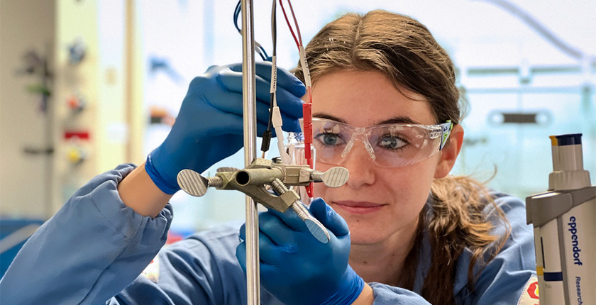 northwestern university malapit lab batteries