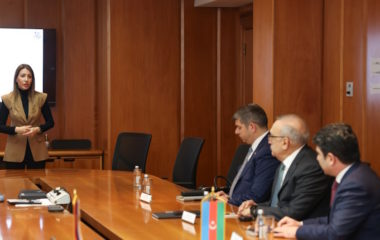 serbia azerbaijan gas power plant nis memorandum eps srbijagas dubravka djedovic