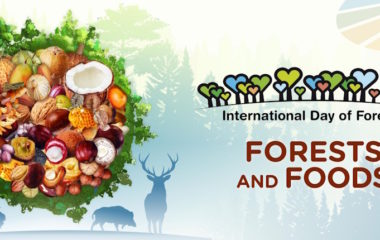 International Day of Forests – forests and foods