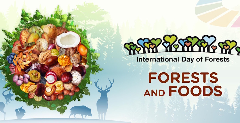 International Day of Forests – forests and foods