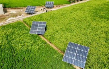 Constitutional Court Bulgaria exemptions renewables agricultural land